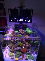 DIY Ant sea tank light Automatic sunrise sunset LED sea water coral light Micro tank light full spectrum 60 square tank