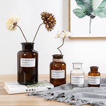 European-style transparent glass vase minimalist retro interior living room decorations dried flower arrangement hydroponic vase