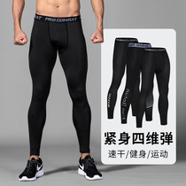 Fitness sports leggings mens leggings High elastic quick-drying running suit Basketball training summer yoga stockings