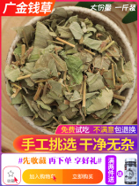 Dried money grass Chinese herbal medicine Guangxi big leaf money grass 500g wild natural wide money grass can be used with corn whiskers