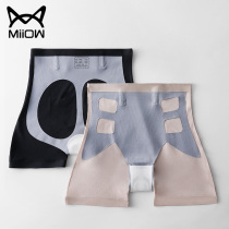 Cat ladys underwear Shaped closets Hip Antimicrobial Crotch no marks Ice Silk Safety Pants Meme Body Plastic Body Flat Corner Briefs
