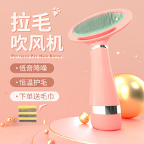 Dog hair dryer hair pulling artifact quick-drying massage bath small dog cat hair pulling all-in-one pet blow dry Teddy