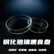 Ornamental shrimp feeding plate super white glass feeding shrimp food plate shrimp food plate ornamental snail benthic fish feeding plate feeding ring