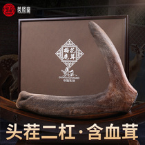  Jilin Sika deer head stubble two bars dried antler slices 20g whole branches with blood velvet wine soup and porridge gift box