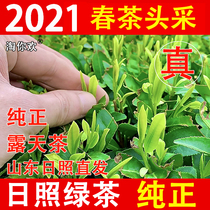 Shandong Rizhao green tea 2021 new tea Super Alpine open air head spring tea strong tea 500g