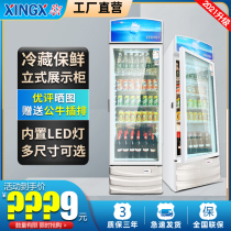 Star commercial vertical freezer large capacity beverage cabinet beer refrigerated display cabinet energy saving fresh cabinet single door refrigerator