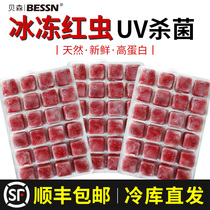 Red worm frozen cow heart burger Daphnia plump shrimp red red red nematode Rohan fish food colorful fairy fish food fish feed