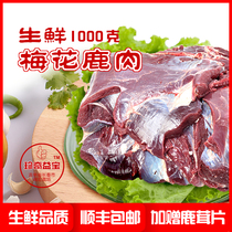 Ruihong Deer Industry Jilin plum venison deer field directly for fresh venison deer leg tenderloin 2 Jin Shunfeng