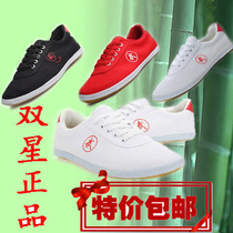 Qingdao Double Star Childrens Wushu Shoes Taiji Shoes Breathable Canvas Shoes Mens and Womens Training Shoes