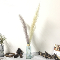 Natural big Reed dried flower bouquet flower shop window display homestay soft home decoration art landing forever flower