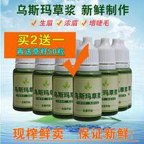 Raw Eyebrow Liquid Xinjiang Usma grass juice fresh freshly squeezed pure straw pulp eyebrows eyelashes thick long Usman grass men and women