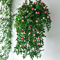 Simulation Rose Pendant Lan Green Planting Plastic Fake Flowers Vines Decoration Flowers Vines Interior Furnishing Hanging Flower Wall Wall-hanging Plant