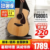 YAMAHA Yamaha veneer acoustic guitar beginner students FG800 FS800 electric box optional