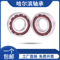 Harbin Bearing 7304 7305 7306 7307 7308 7309 7310 7311 7312AC