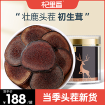 Dried deer antler powder 20g authentic non-500g velvet slices Horn is not a whole Changbai Mountain soak
