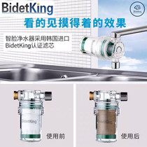 BidetKing water heater shower tap water front household water purifier filter descaling and chlorination bath