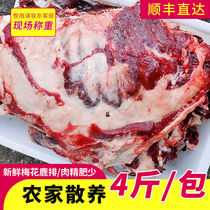 Fresh deer farm direct sale plum venison Deer steak 4kg venison leg fresh venison Shunfeng cold chain