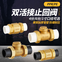 4 6 points hot melt check valve Brass horizontal vertical back check 20 25PPR double live water pipe directional valve