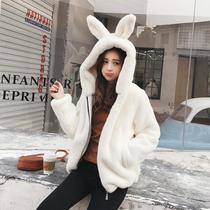 Korean womens clothing 2019 autumn and winter New Korean loose plush hooded fur coat casual fashion short coat
