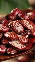 Northeast Jilin small kidney beans zebra beans small poached bean sprouts cooking porridge cooking can put some soy milk