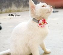 Pet cat bell collar Handmade wind flower bow tie Dog bell collar pendant can pull small dogs