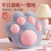 National standard hot water bag charging explosion-proof cute plush cloth cover electric warm treasure student hand warm water bag