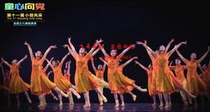 Like you the XI Little Horsese Gold Award Dance Stage Performance Costume Professional Customized