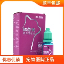 Borgelli cat nose eye drops Cat Cup herpes virus conjunctivitis lacrimal red and swollen quick-acting eye drops