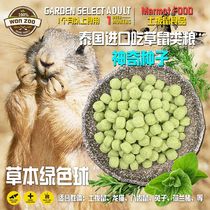 Groundhog rabbit guinea pig guinea pig fruit pasture staple grain feed cheese fruit vegetable fruit eight-tooth rat grain