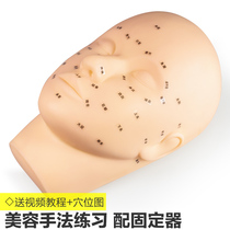Beauty Salon Beauty Head Mold Practice Wash Face Massage Acupoint Model Head Fake Human Head Model Paparazzi to teach head bald head