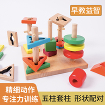 The shape geometry set of pillars Montessori toys early teaching Montssori toys graphical pairing sensory building blocks 3 years old