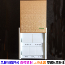 Automatic delay hair bath switch 5 open 86 type bathroom bath bath general intelligent delay switch cover