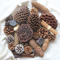 Pine cones decorated with seeds dried showerhead natural dried flowers kindergarten dried branches Forest department handmade diy material package pine tower
