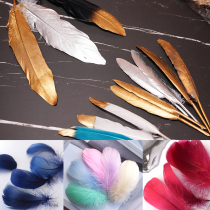 ins net red hot golden feather photography photography props background Light luxury small fresh animation surrounding millet beautification