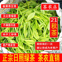 Autumn tea Shandong Rizhao green tea 2021 new tea bulk fried green bubble resistant strong flavor chestnut sweet pea fragrance 500g