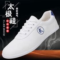 Martial arts shoes mens tai chi shoes youth martial arts training performance shoes kung fu canvas shoes light exercise shoes summer