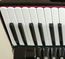 (Tao sound piano rhyme) accordion accessories factory direct supply 48~120 bass accordion keyboard White key black key