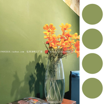 Latex paint avocado green light green retro green home indoor color self-brushing environmental protection paint background wall wall paint
