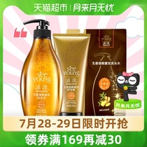 Ziyuan silicone-free oil ginger anti-off-control oil solid hair refreshing shampoo dew wash care set 970ml men and women