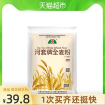 Hetao flour Whole wheat flour 5kg×1 bag High gluten flour containing dietary fiber Wheat bran powder Baked whole grain wheat flour