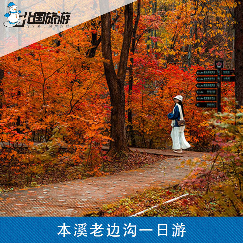本溪老边沟一日跟团游|纯玩0购物+沈阳往返!25年爆款官方代理亲测-旅行团-淘宝好物网