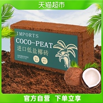 (single product) (5 pieces of clothing) Coconut Bran Brick Fertilizer Large Chunks Of Coconut Shell Brick Sterile Low Salt Germless Soil