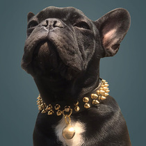  Rivet French bucket collar Anti-bite necklace Dog chain domineering neck ring Collar Bully dog British bulldog supplies Willow