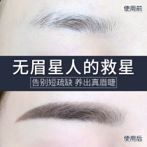 Qiao Xin with eyebrow growth liquid dense black natural growth liquid Xinjiang female boys eyebrows increased eyebrows