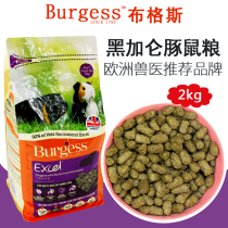 Spot Buggs Black Gallon Guangzhu Grain High Fiber Dutch pig grain 2 kg Buggs Black Gallon Food Feed