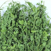 2021 new grass quality alfalfa grass pasture rabbit food rabbit feed rabbit hay hair weight 1kg