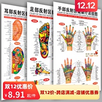 Hand reflex area health therapy wall chart ear foot foot therapy Meridian acupoint map Chinese health care poster