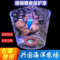 Feeding cover Coral feeder protective cover Acrylic frisbee gun battle Brain feeding cover Breeding anti-grab food