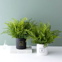 Nordic modern pole minimalist about outdoor forest system simulation plant green planting flower and grass miniature garden vase suit pelvic hem piece