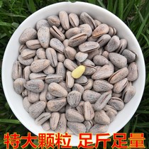 Salt and pepper pine nuts extra large granules 500g new goods bulk a pound weighing Jin northeast hand peeling pepper salt flavor whole box 5kg